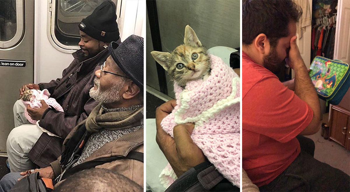 30 Heartwarming Posts That Might Leave You With Tears Of Joy