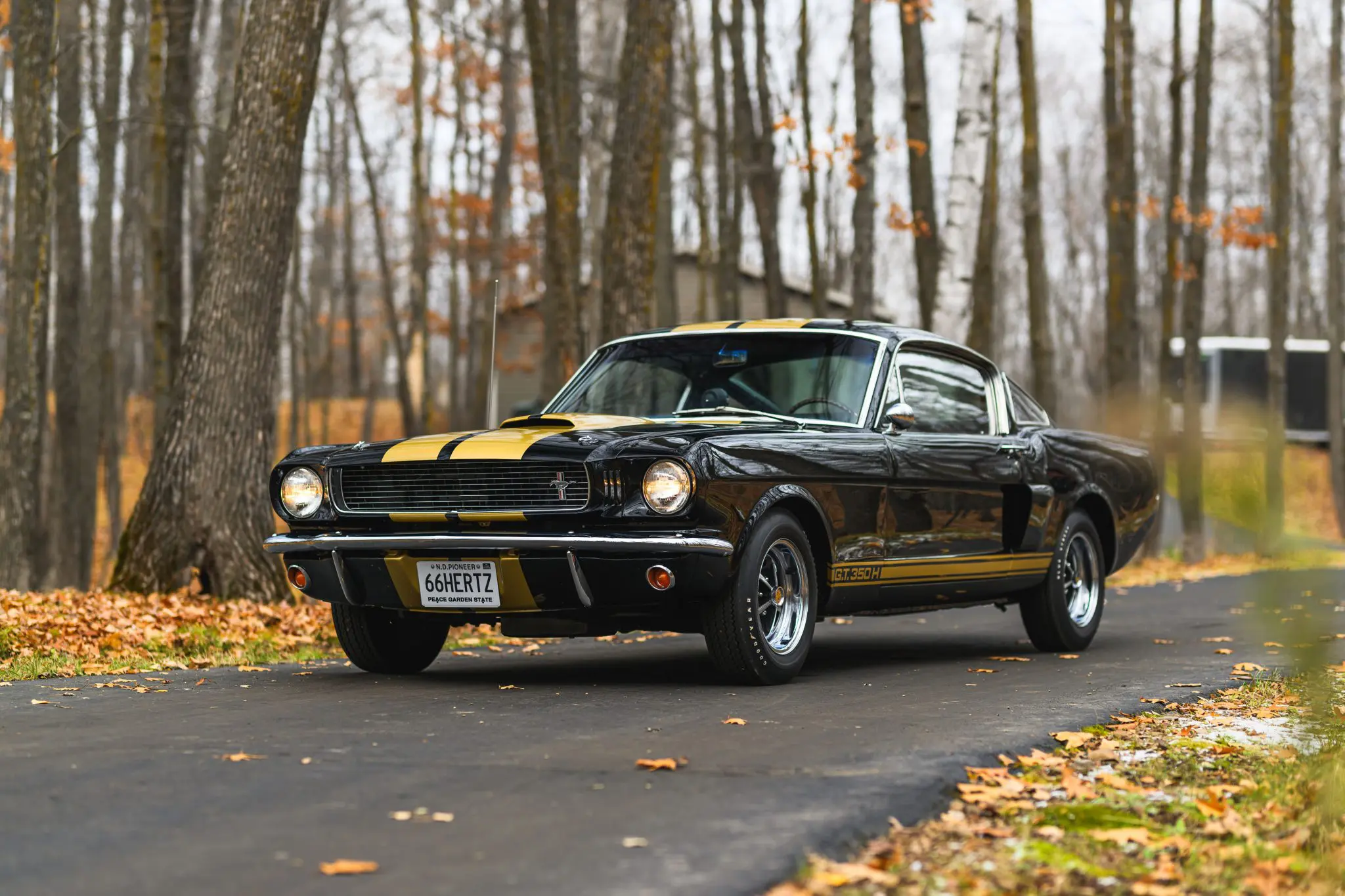 A Fantastic 1966 Shelby GT350-H To Be Auctioned For The First Time