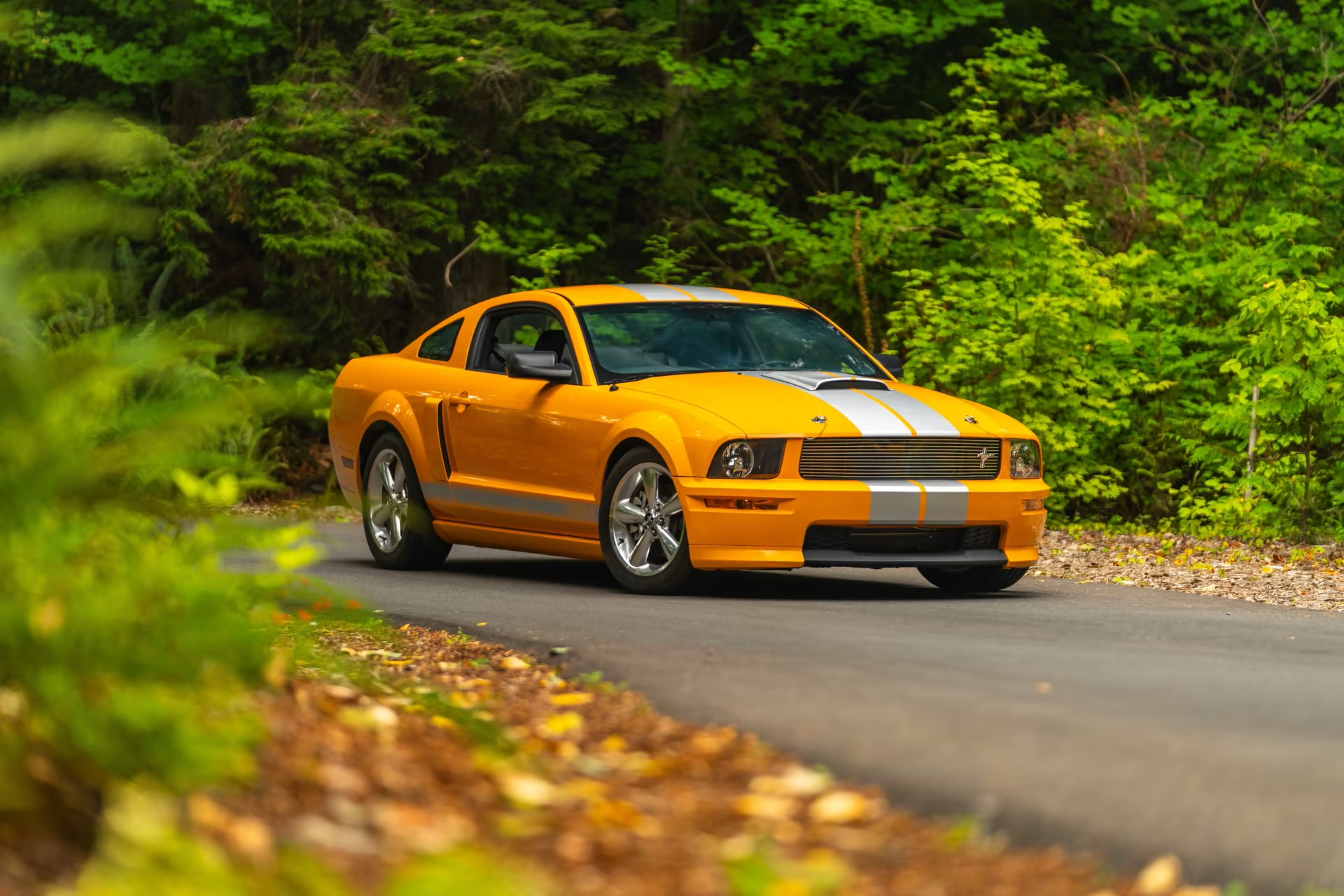 Mustang Of The Day: 2008 Ford Mustang Shelby GT-C