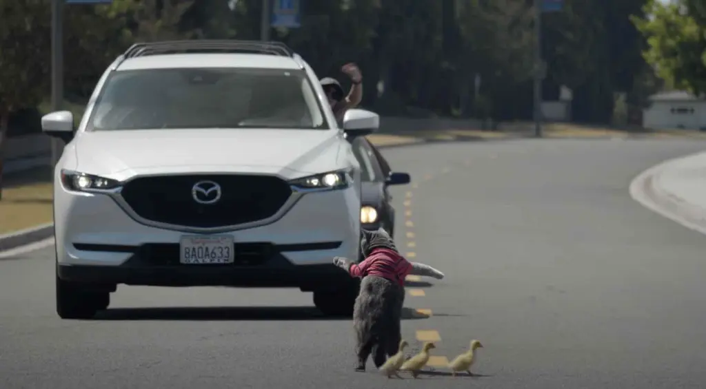 A majestic cat assists a baby duck in crossing the road and finding its way back to its mother!